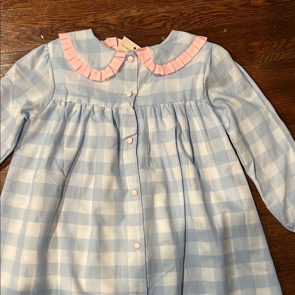 Blue gingham dress with pink detail - Picture 3 of 4